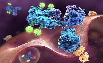 Antibody-Drug-Conjugate-big-1.jpg