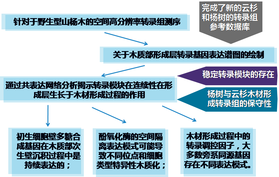 4.png 4.png