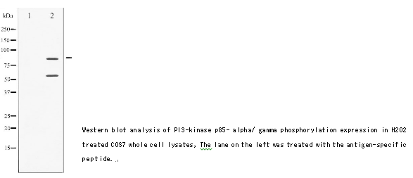 企业微信截图_16105075832054.png