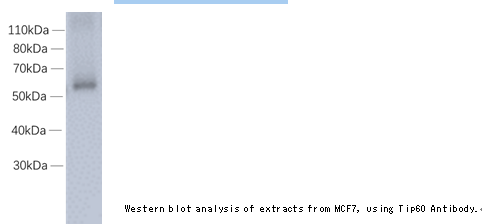 企业微信截图_16105942761830.png