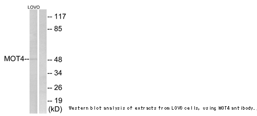 企业微信截图_16106943473453.png