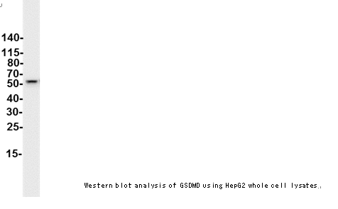 企业微信截图_16116378944958.png