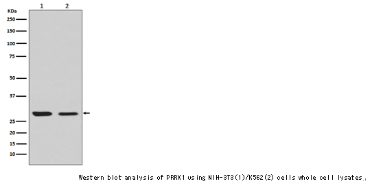 企业微信截图_16116385471830.png