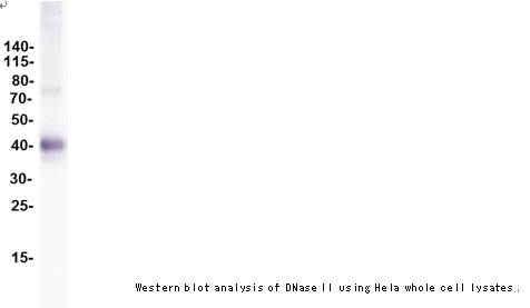企业微信截图_16117172214716.png