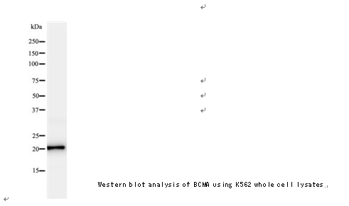 企业微信截图_16117336174958.png