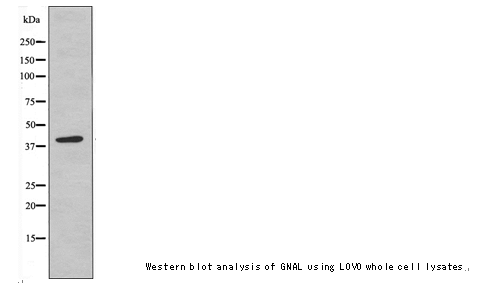 企业微信截图_16118879944958.png