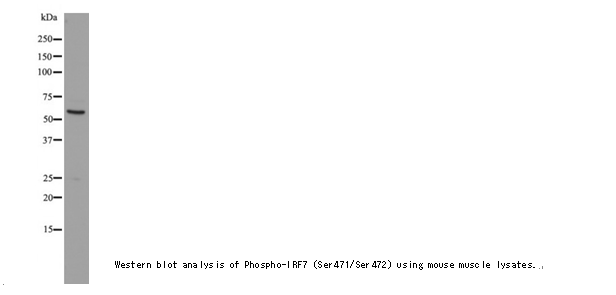 企业微信截图_16121468688073.png