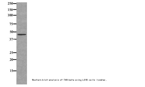 企业微信截图_16121738932171.png