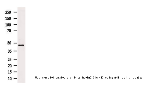 企业微信截图_16122305464716.png