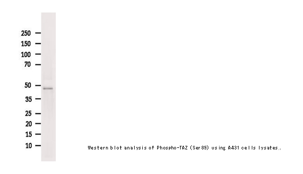 企业微信截图_16122307214958.png