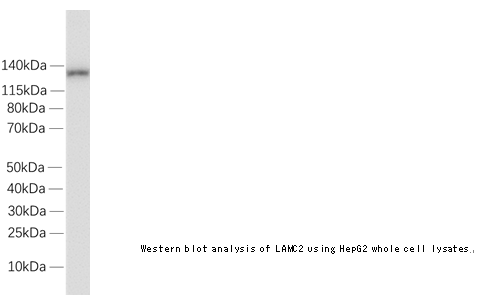 企业微信截图_16122494646924.png