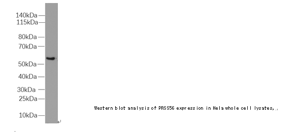 企业微信截图_16123367712630.png