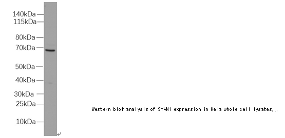 企业微信截图_16123385129401.png