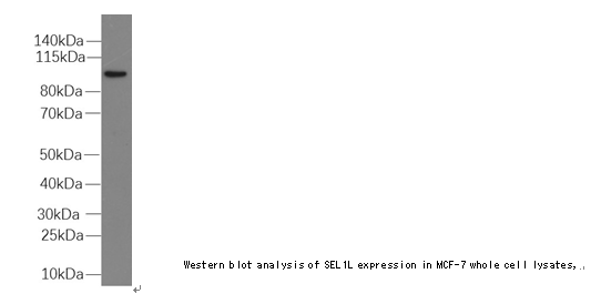 企业微信截图_16123398873106.png