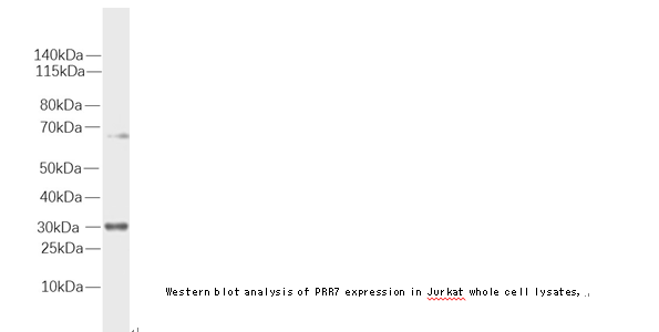 企业微信截图_16124042964716.png