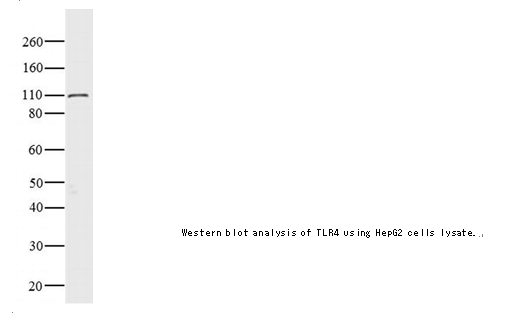 企业微信截图_16142201121799.png