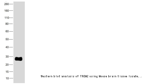 企业微信截图_16142214985039.png