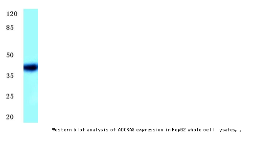 企业微信截图_1614740006705.png