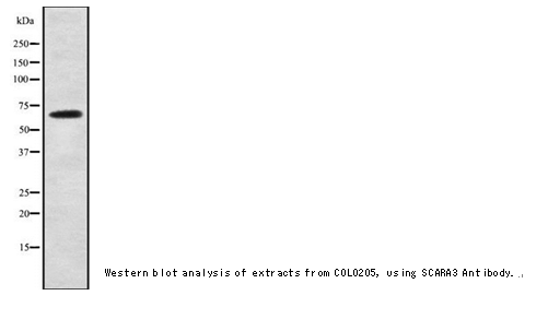 企业微信截图_16149207641188.png